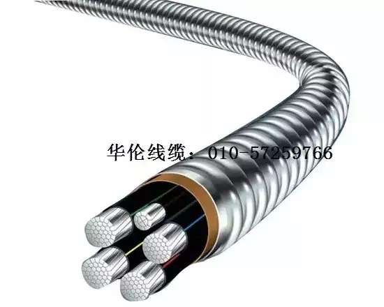 滄州市統(tǒng)計工作規(guī)范化建設推進會在華倫公司順利召開！