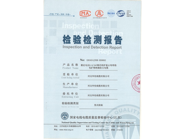 滄州市統(tǒng)計(jì)工作規(guī)范化建設(shè)推進(jìn)會(huì)在華倫公司順利召開(kāi)！