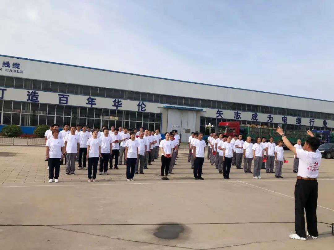 1625118285849453.jpg 1625118285849453.jpg